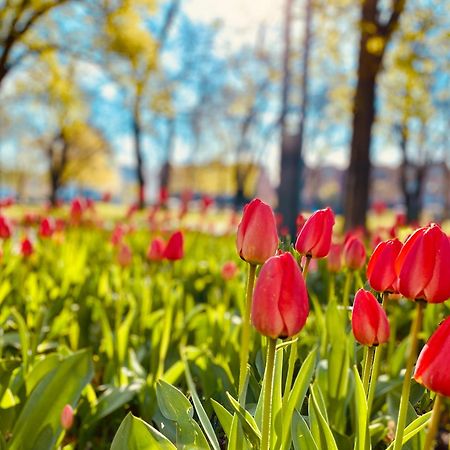 Schoene Aussichten Mitten In Berlin - Il Sole Εξωτερικό φωτογραφία
